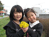 hana (238)_samu.gif